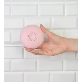 Imagen anterior del producto
